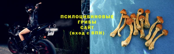 МДПВ Остров