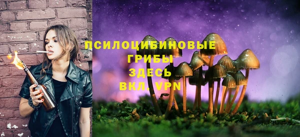 jwh Осташков